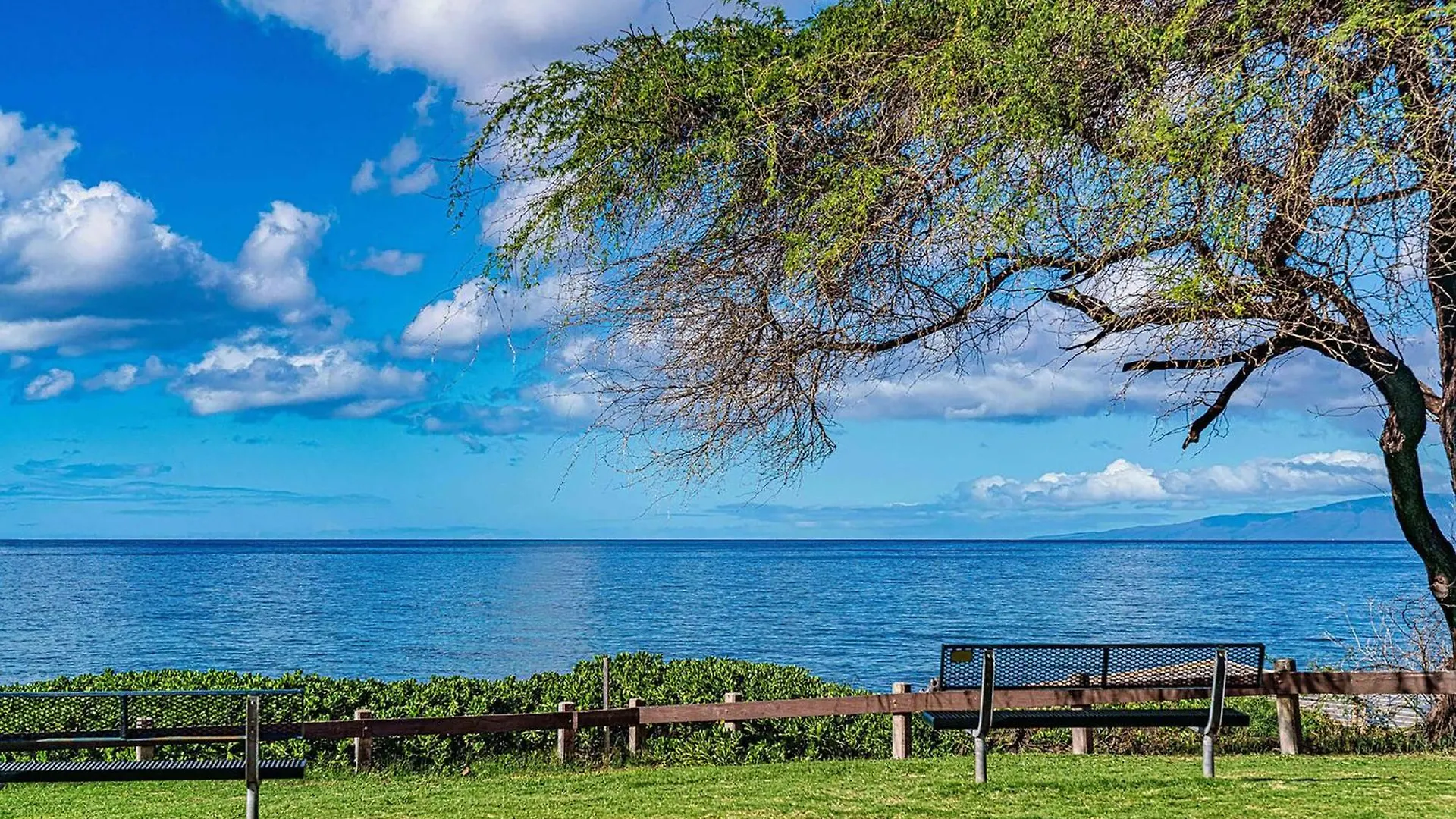 ויילי Kamaole Sands 2-406, Ocean Views, Split Ac, 2 Bdrm